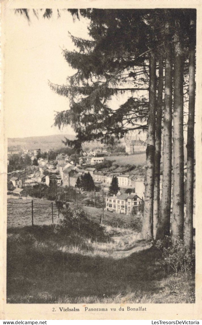 BELGIQUE - Vielsalm - Panorama Vu Du Bonalfat - Carte Postale Ancienne - Vielsalm