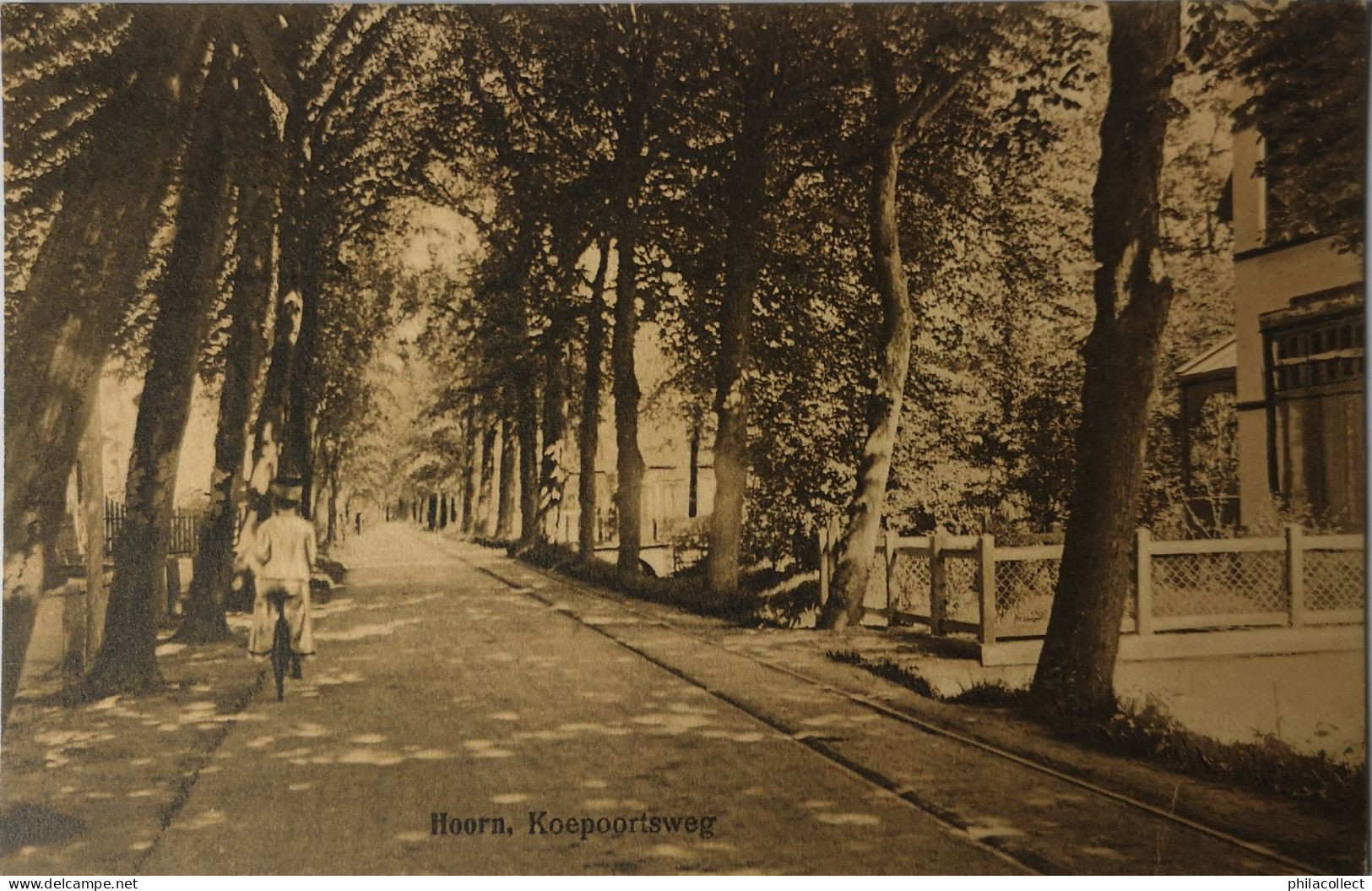 Hoorn (NH) Koepoortsweg (fietser) 1911 - Hoorn