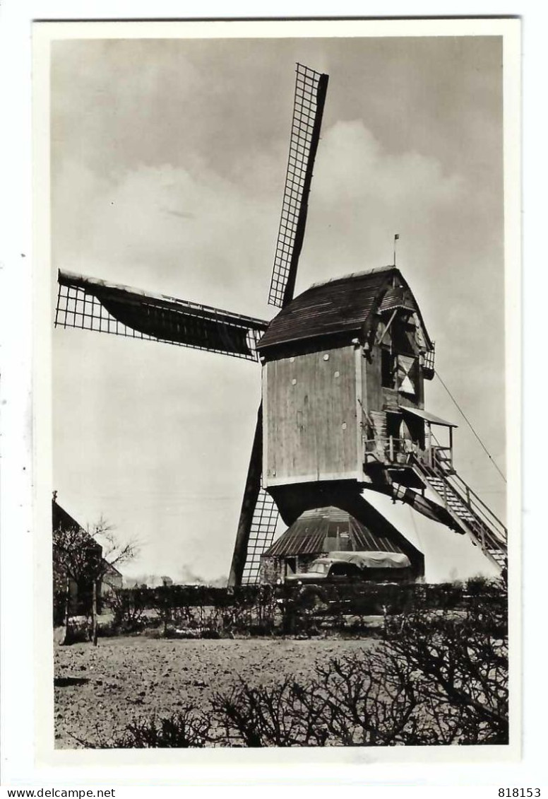 Geel - Oude Winmolen Gansakker  Vieux Moulin Gansakker - Geel