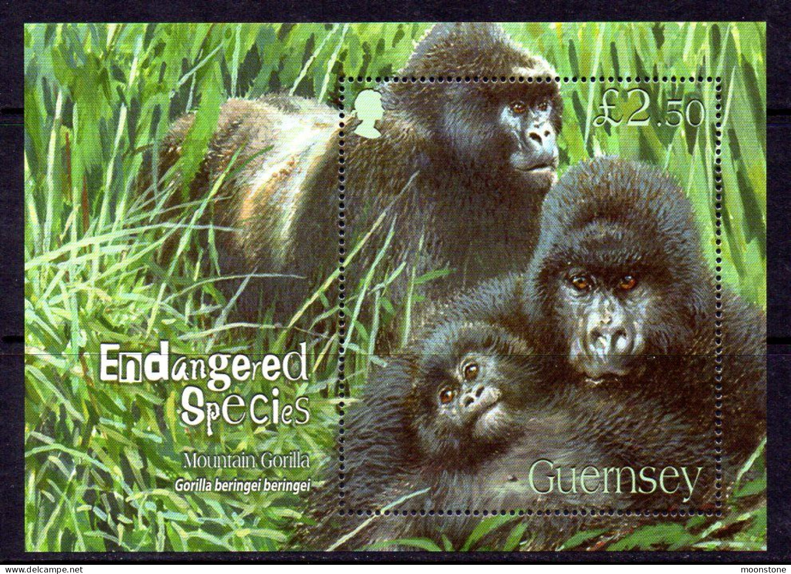 Guernsey 2007 Endangered Species IV, Mountain Gorilla MS, MNH, SG 1173 - Guernesey