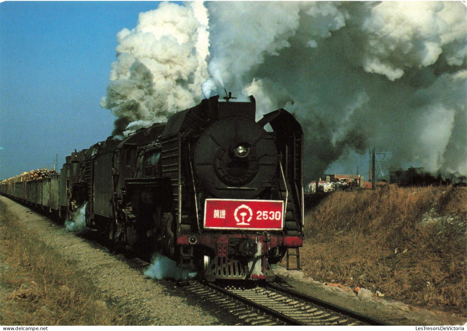 TRANSPORT - Série "voyages De L'Association Pour Le Tourisme Ferroviaire - 2530 - Colorisé - Carte Postale - Trains