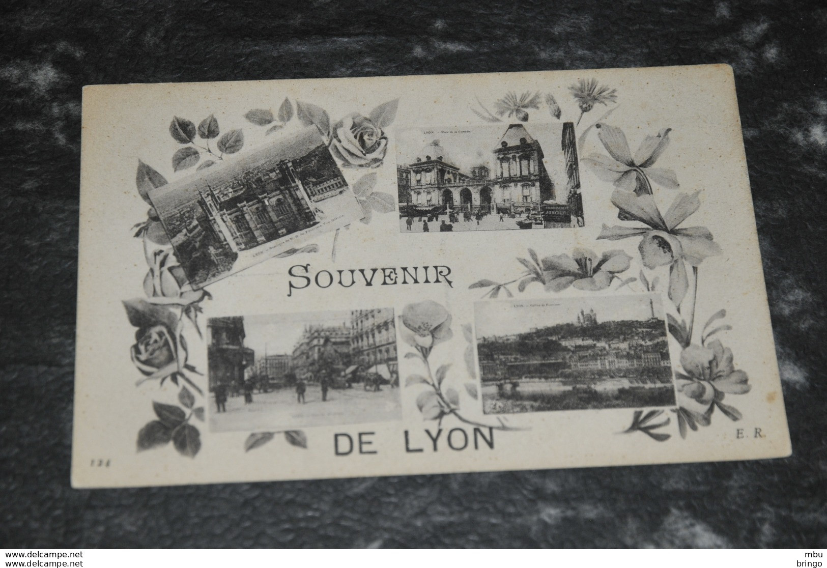 A4788   SOUVENIR DE LYON - Other & Unclassified