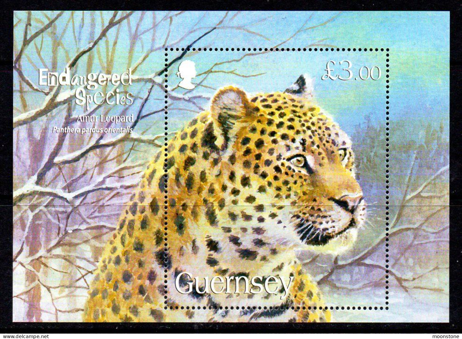 Guernsey 2009 Endangered Species V, Amur Leopard MS, MNH, SG 1266 - Guernesey