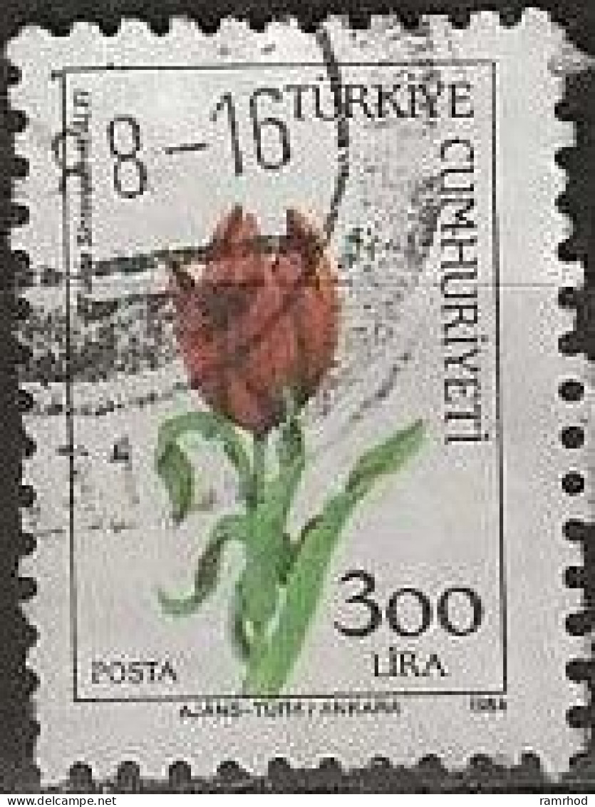 TURKEY 1984 Wild Flowers - 300l. - Tulipa Sintenesii FU - Used Stamps