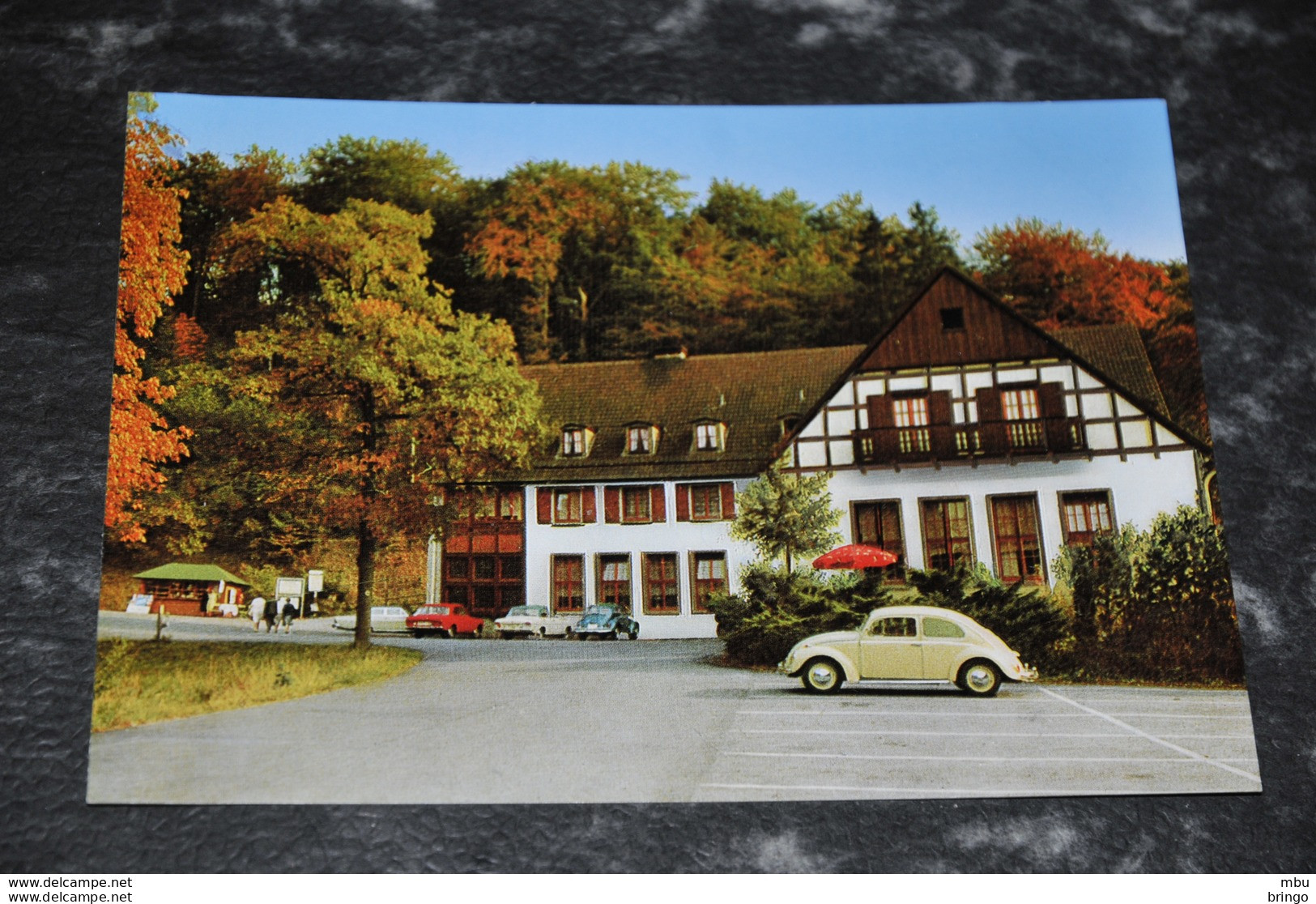 A4804    WALDHOTEL TROPFSTEINHÖHLE  WILDGEHEGE, WARSTEIN / Auto / Car / Coche / Voiture - Warstein