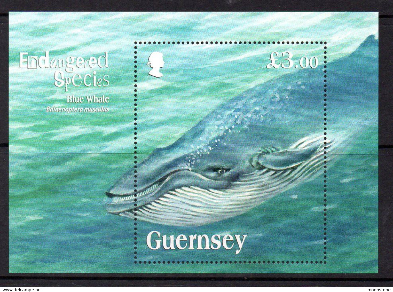 Guernsey 2011 Endangered Species VII, Blue Whale MS, MNH, SG 1368 - Guernesey