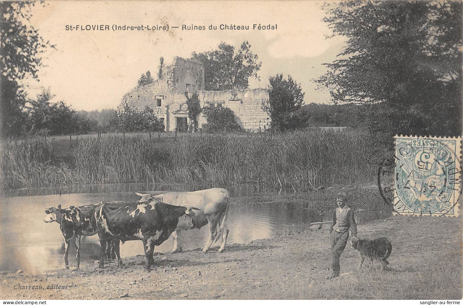 CPA 37 SAINT FLOVIER / RUINES DU CHATEAU FEODAL - Sonstige & Ohne Zuordnung