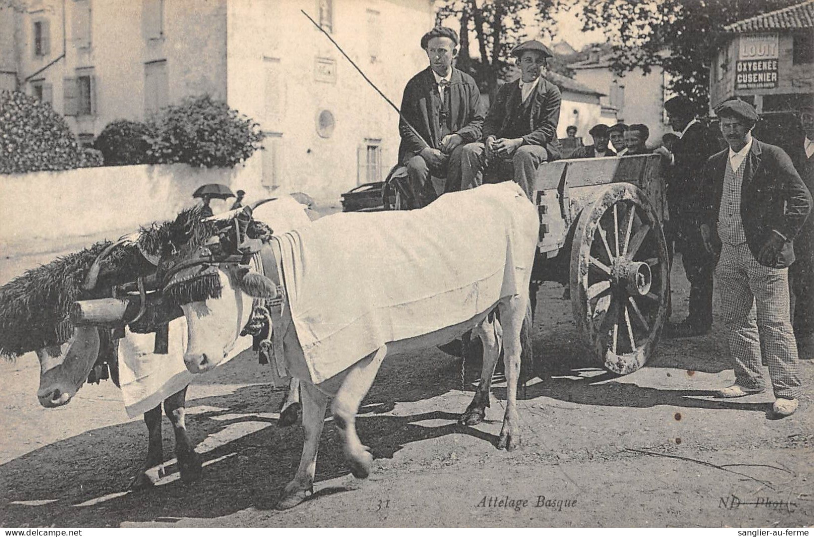 CPA 64 ATTELAGE BASQUE - Autres & Non Classés