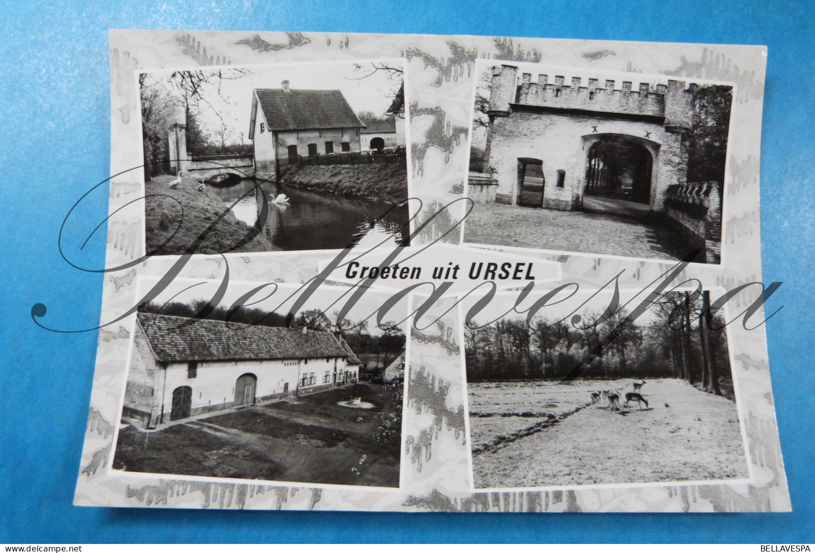 Ursel Groeten - Aalter