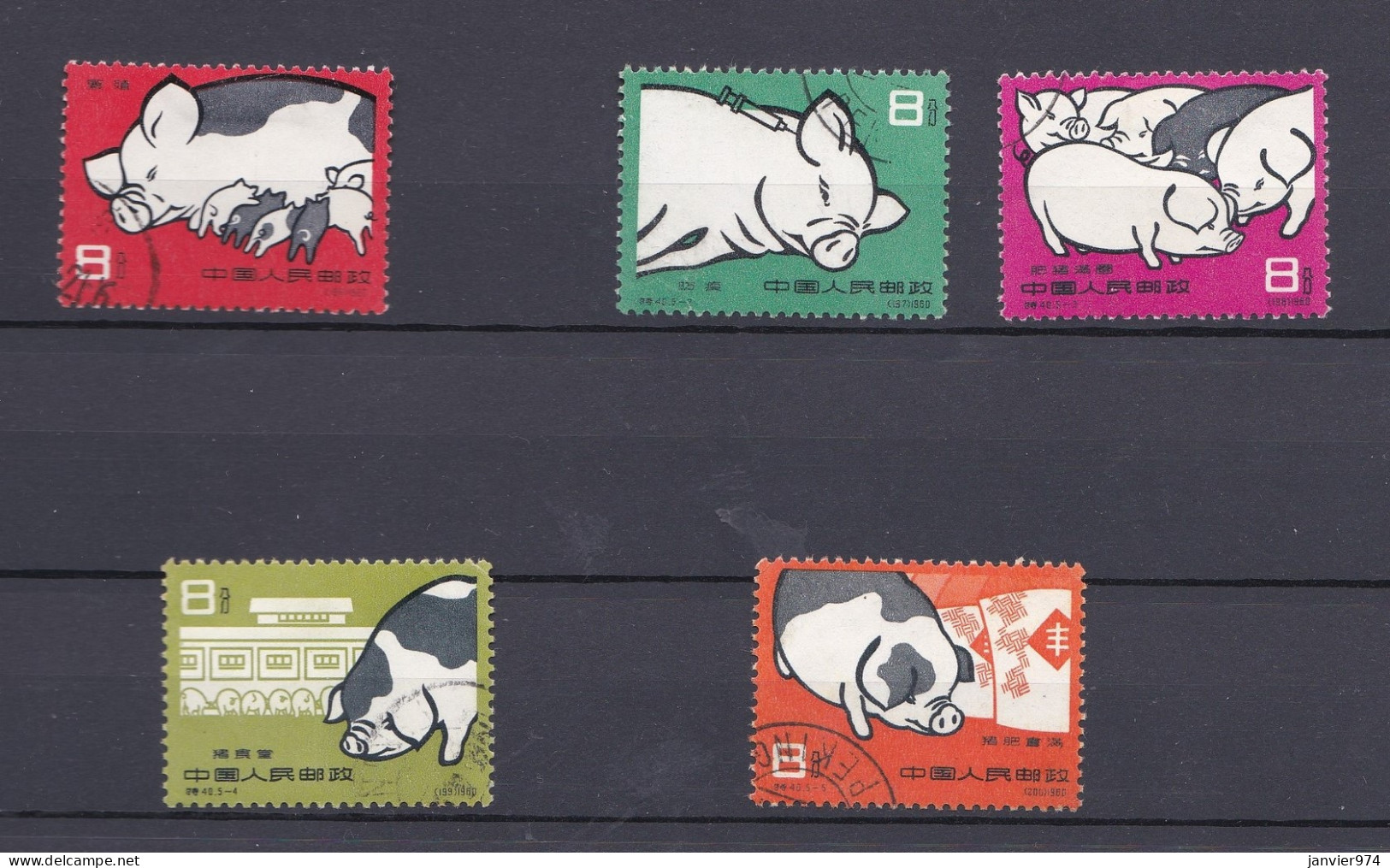 Chine 1960 La Série Complète 546 à 550 Pigs / Cochons, 5 Timbres , Scan Recto Verso - Usati