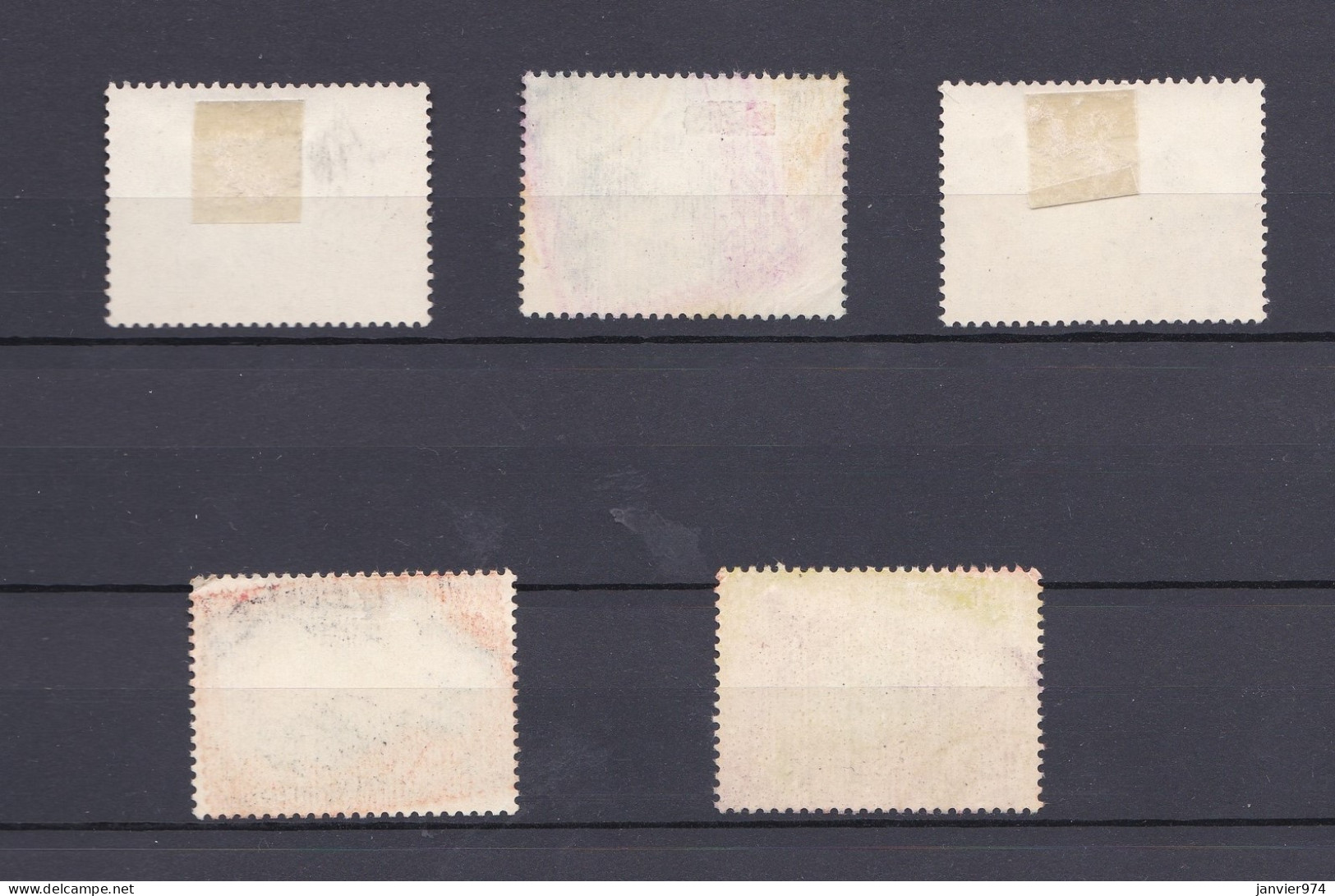 Chine 1960 La Série Complète 546 à 550 Pigs / Cochons, 5 Timbres , Scan Recto Verso - Used Stamps