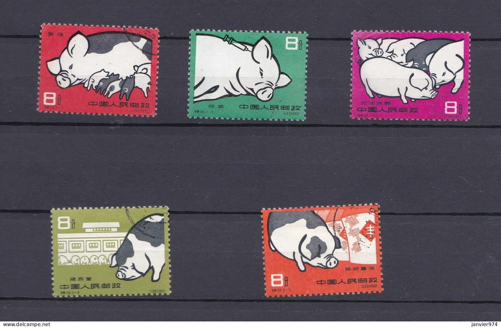 Chine 1960 La Série Complète 546 à 550 Pigs / Cochons, 5 Timbres , Scan Recto Verso - Gebraucht