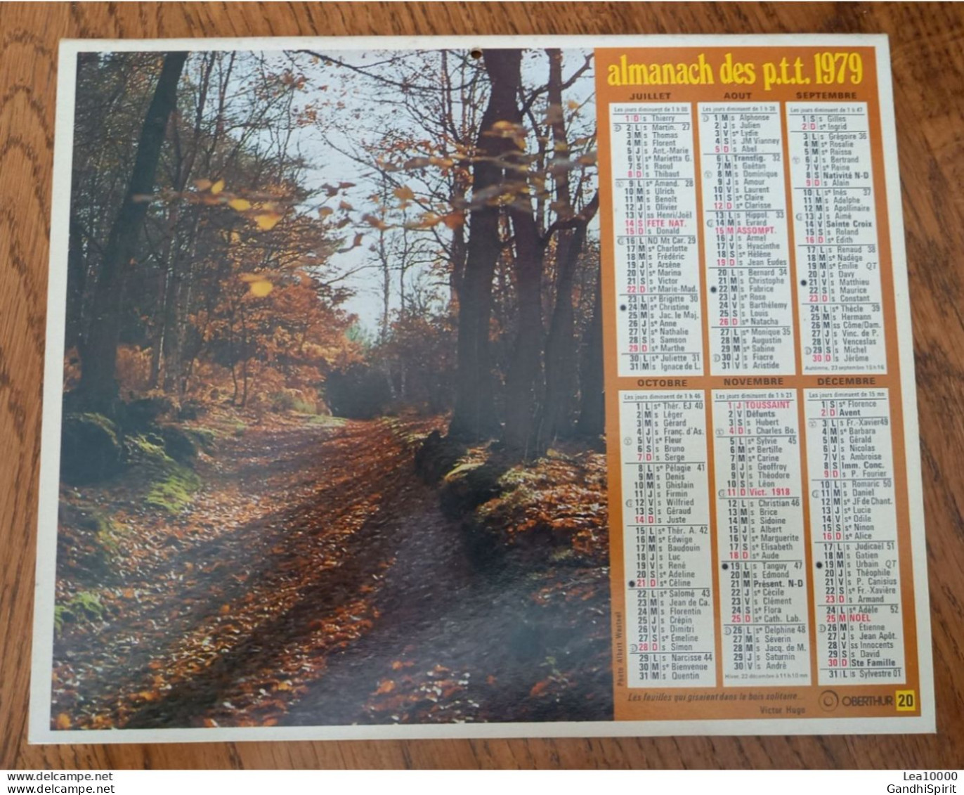 1979 Calendrier Du Département De L'Aube Préalpes De Digne Les Feuilles Qui Gisaient Dans Le Bois Solitaire Victor Hugo - Groot Formaat: 1971-80