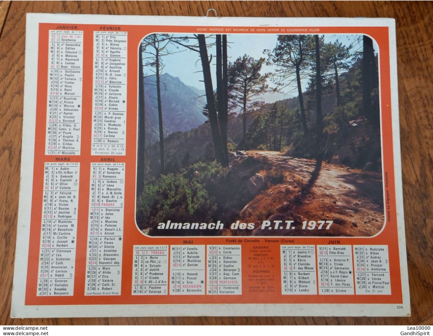 1977 Calendrier Du Département De L'Aube - Forêt De Cervello, Venaco (Corse) - Prélude De L'Hiver, Montagne - Grand Format : 1971-80