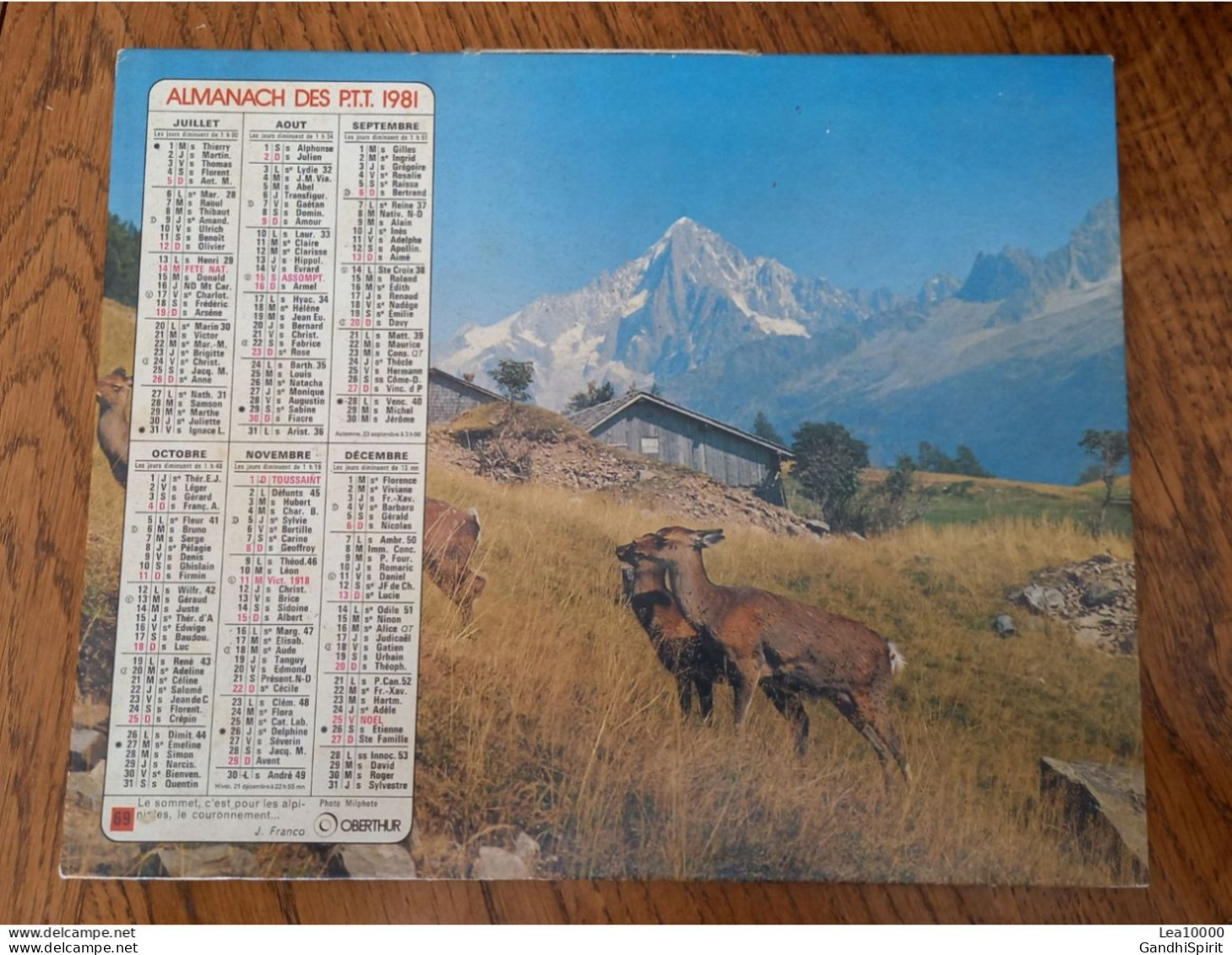 1981 Calendrier Du Département De L'Aube - Le Hameau Du Roux (Hautes Alpes), Le Sommet C'est Pour Alpinistes J. Franco - Tamaño Grande : 1981-90