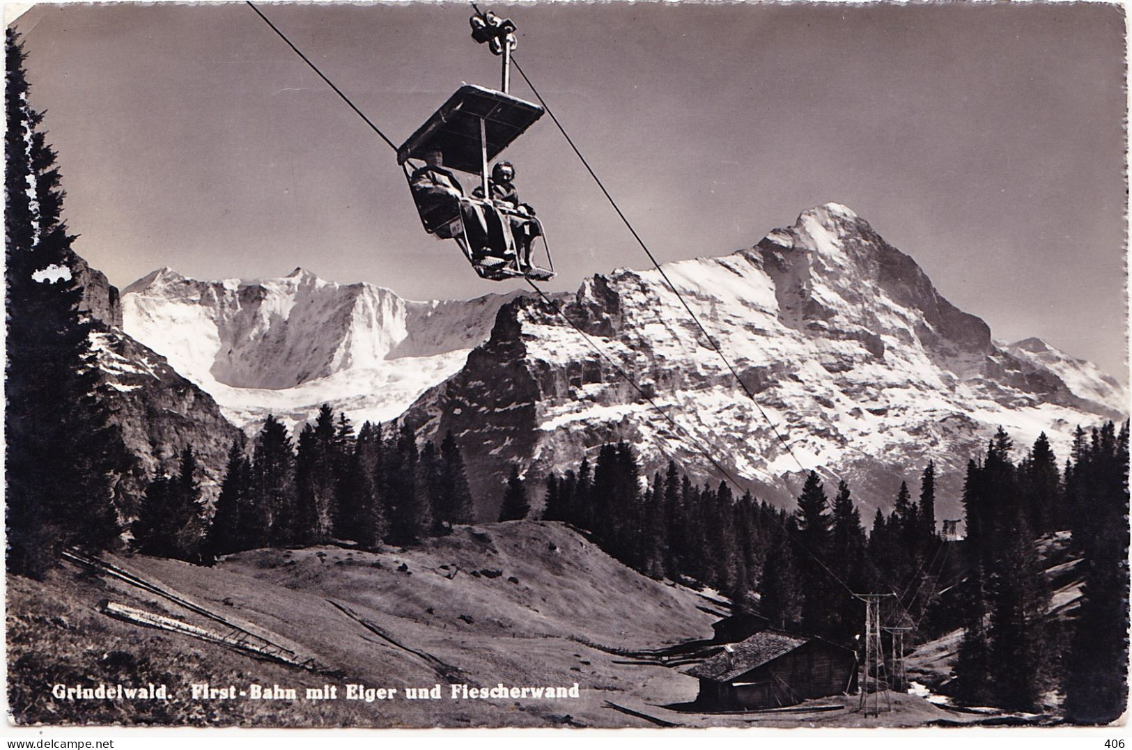 Grinderwald - First-Bahn Mit Eiger Und Fiescherwand - Wald