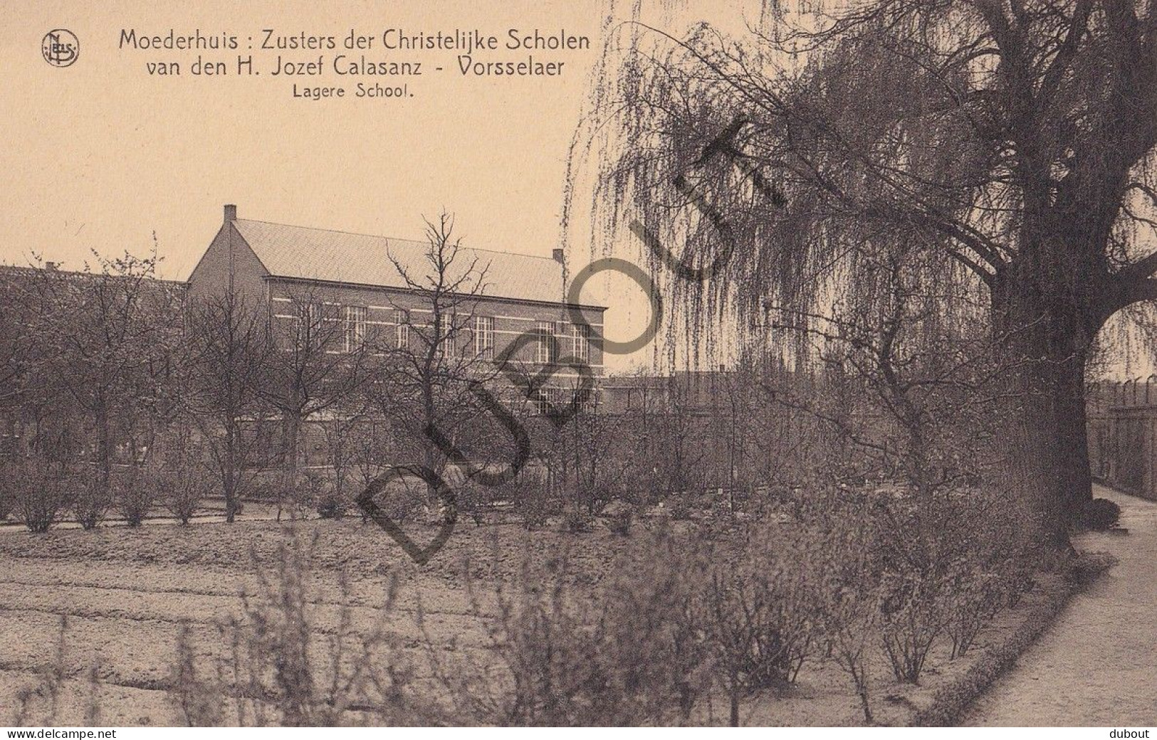 Postkaart/Carte Postale - Vorselaar - School (C4946) - Vorselaar