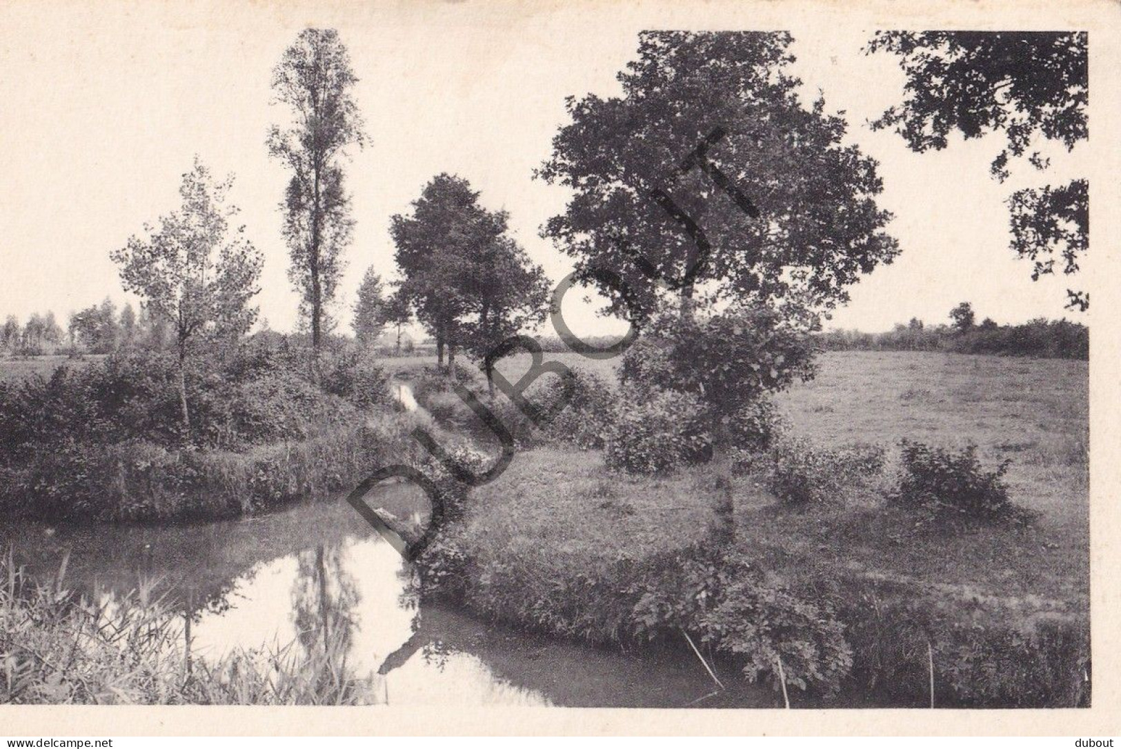 Postkaart/Carte Postale - Kasterlee - Wamp En Rode Loop (C4950) - Kasterlee