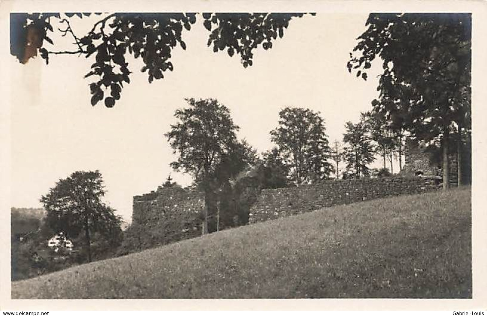 Wädenswil Burgruine - Wädenswil