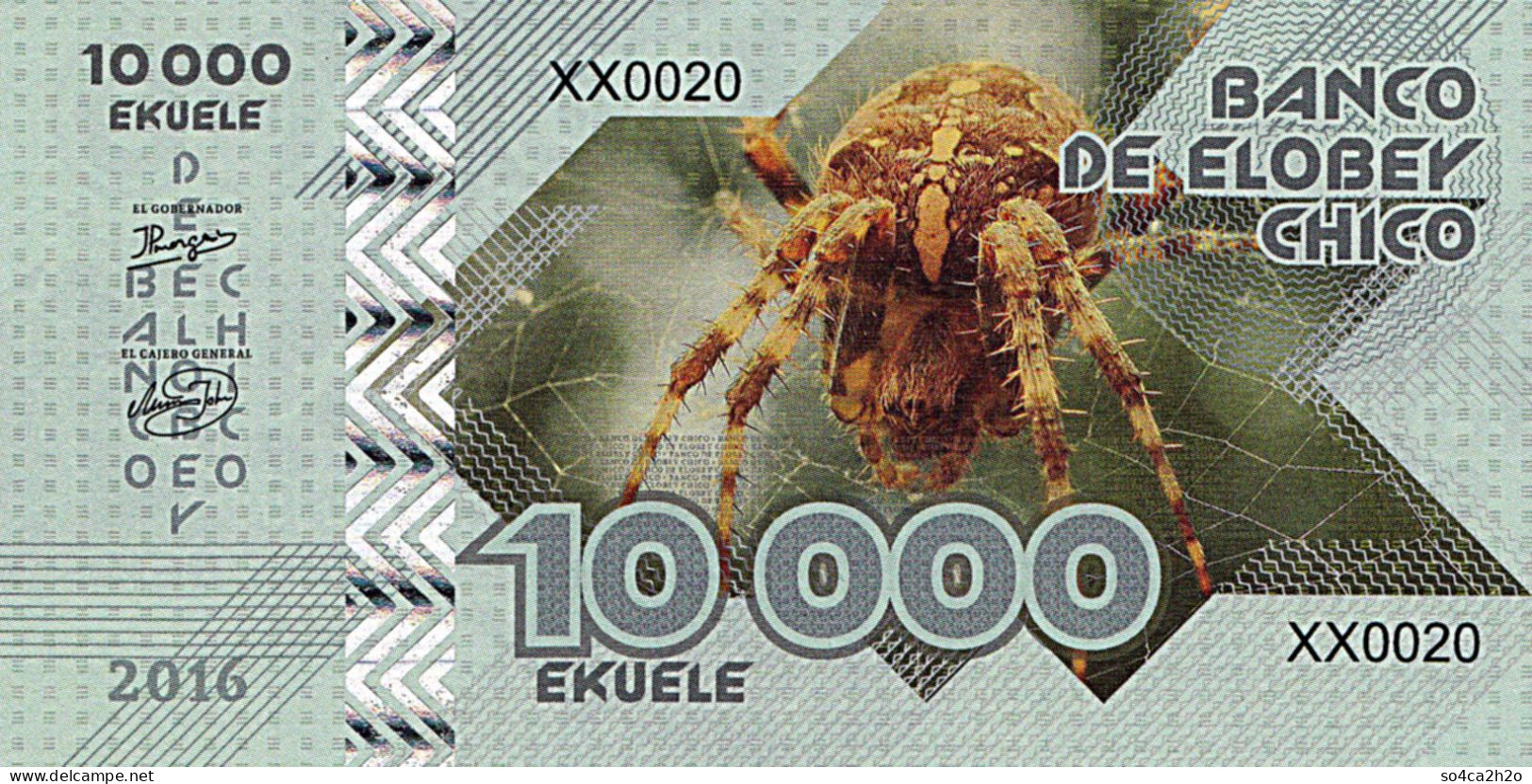 Elobey Chico 10 000 EKUELE 2016 SPIDER Tarantula  UNC - Specimen