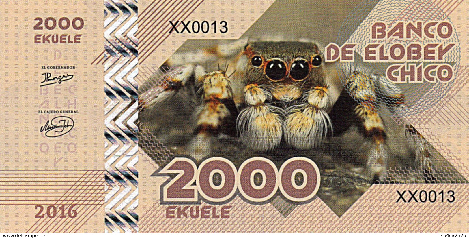 Elobey Chico 2000 EKUELE 2016 SPIDER Tarantula  UNC - Specimen