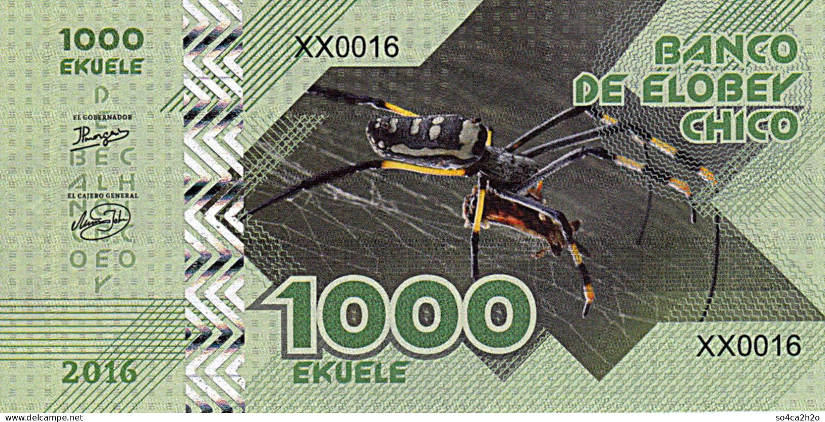 Elobey Chico 1000 EKUELE 2016 SPIDER Tarantula  UNC - Fiktive & Specimen