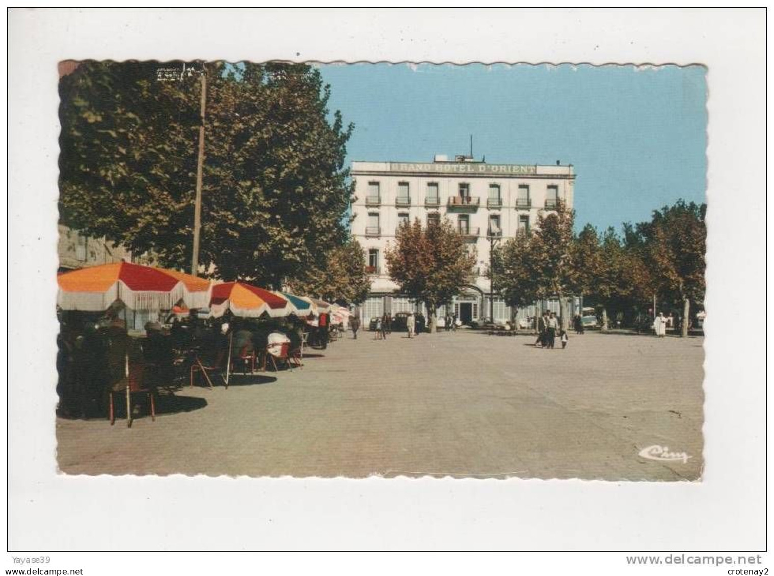 Algérie TIARET N°6 La Place Le Grand Hôtel D'Orient BUS Voitures VOIR DOS - Tiaret