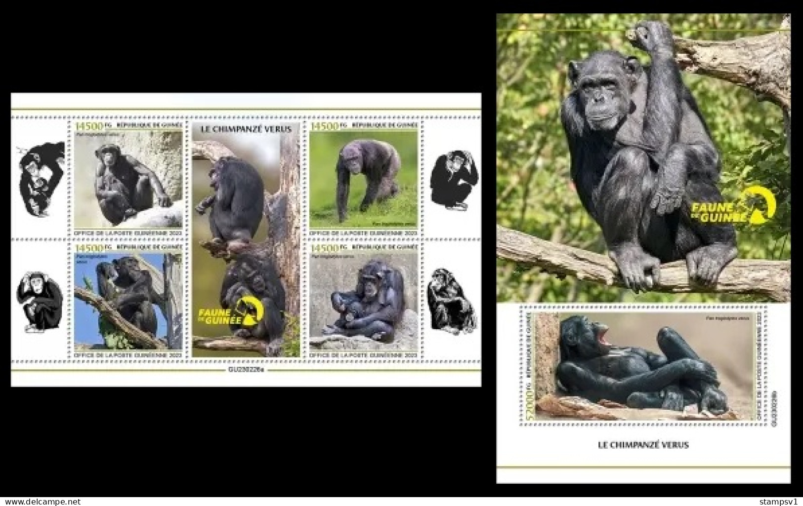 Guinea  2023 Western Chimpanzee. (226) OFFICIAL ISSUE - Schimpansen