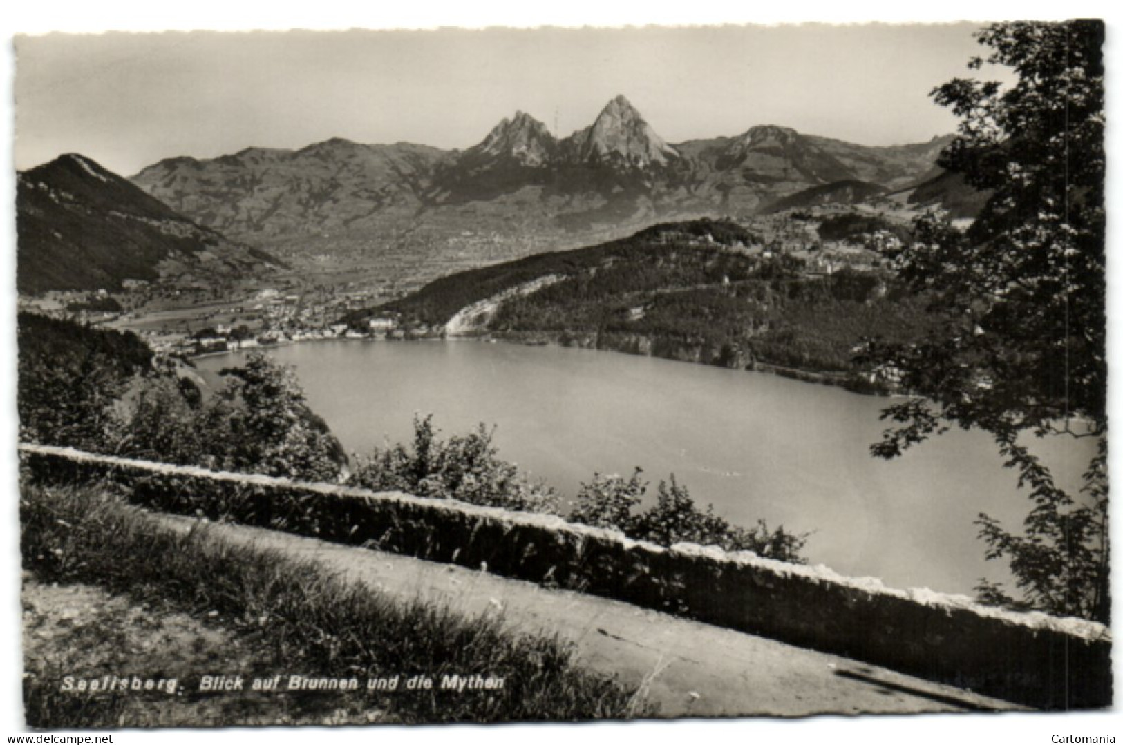 Seelisberg - Blick Auf Brunnen Un Die Mythen - Seelisberg