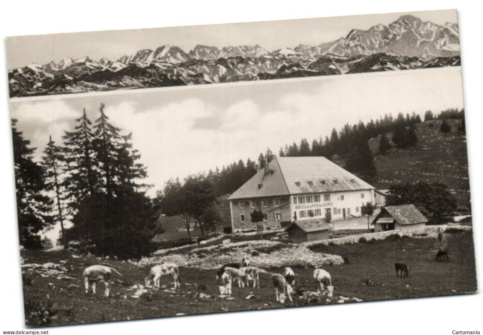 Cernier - Hotel De La Vue Des Alpes - Cernier