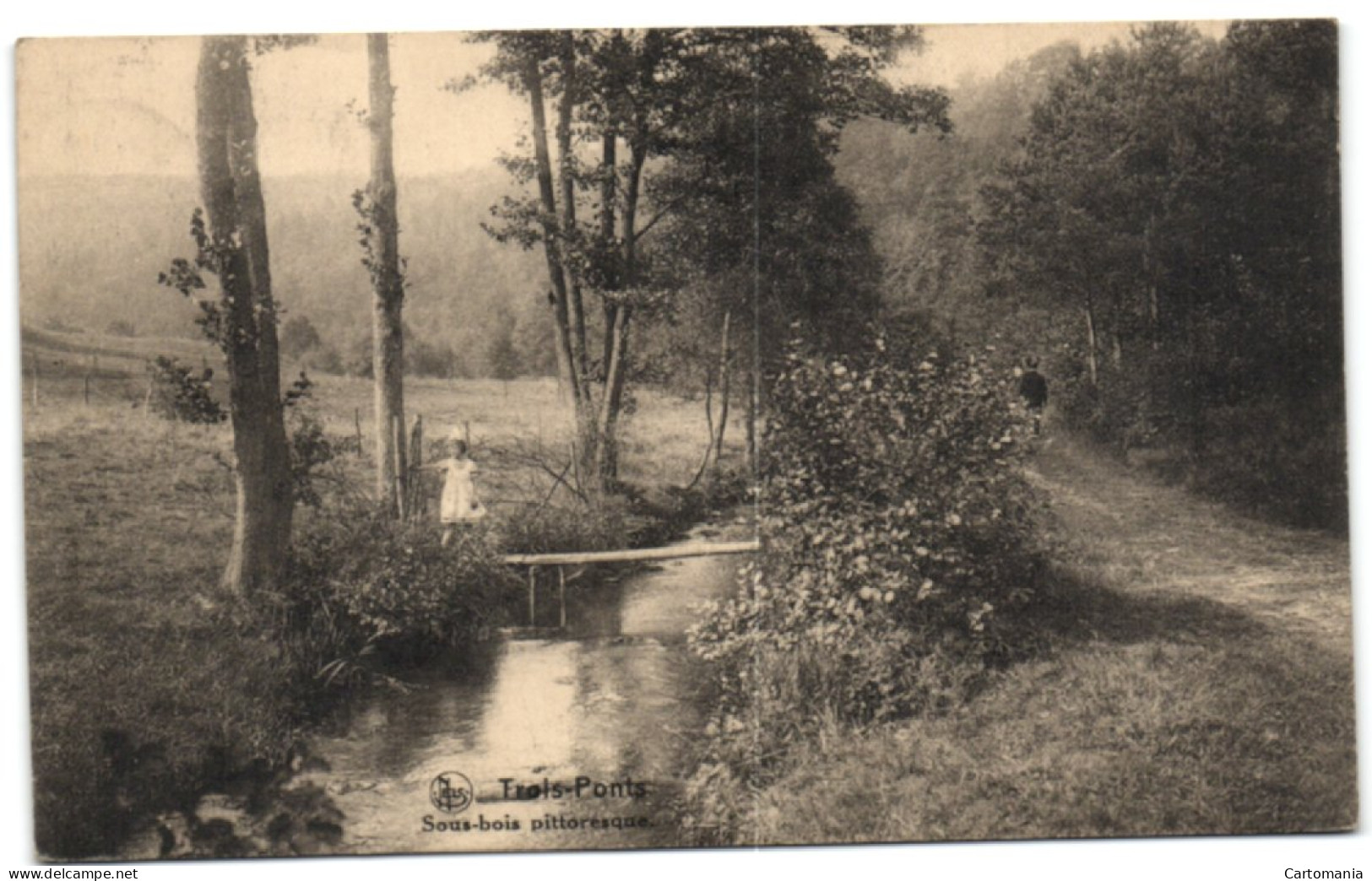 Trois-Ponts - Sous-bois Pittoresque - Trois-Ponts