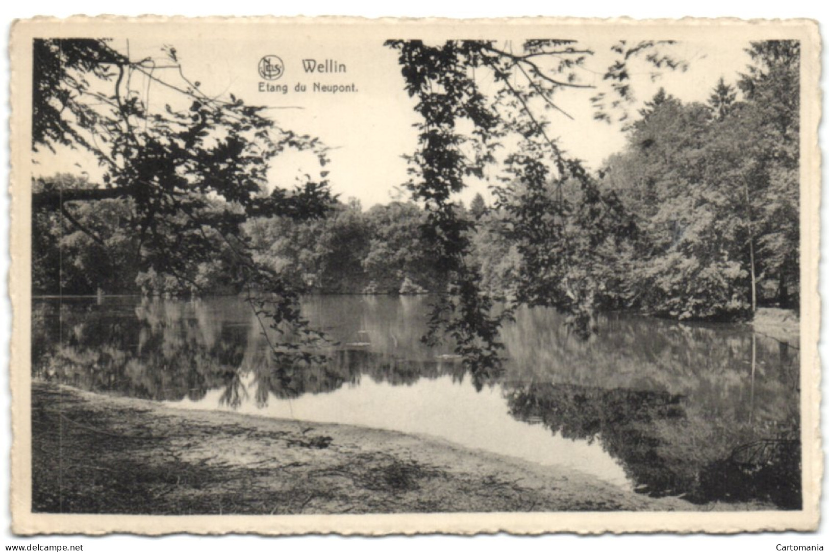 Wellin - Etang Du Neupont - Wellin