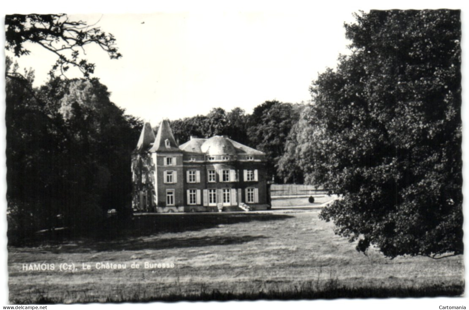 Hamois (Cz) - Le Château De Buressé - Hamois