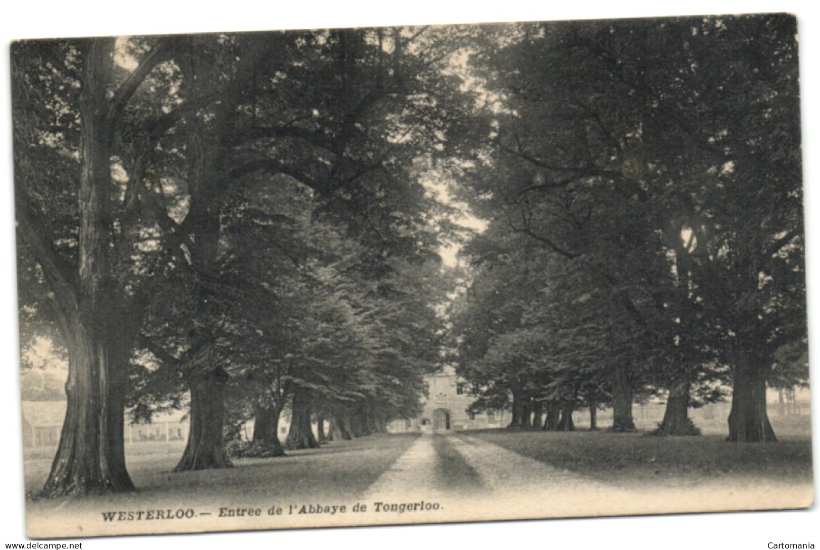 Westerloo - Entrée De L'Abbaye De Tongerloo - Westerlo