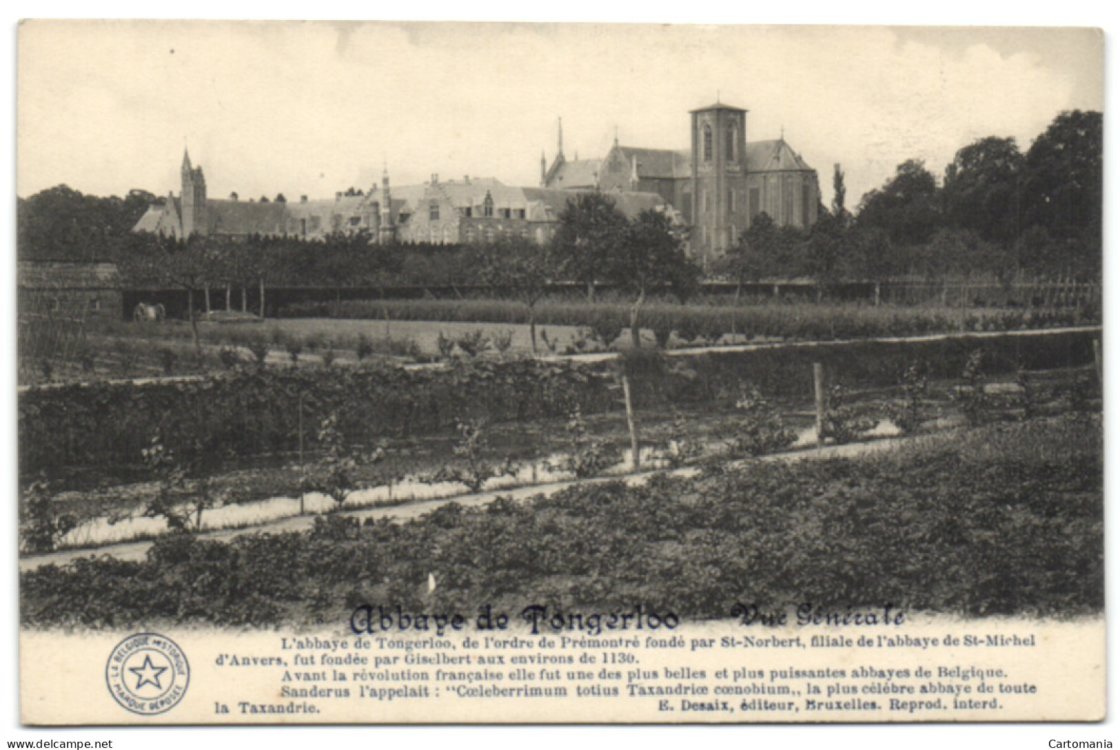 Abbaye De Tongerloo - Vue Générale - Westerlo