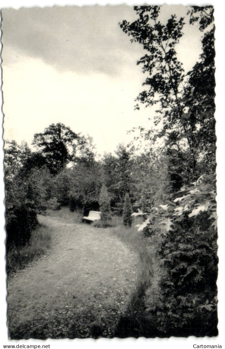 Retie - A.C.W. Vacantiehuis De Linde - Dromerhoekje In Het Park - Retie