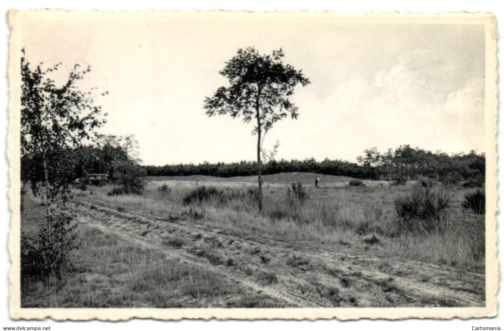 Retie - A.C.W. Vacantiehuis De Linde - Bos En Duin - Retie