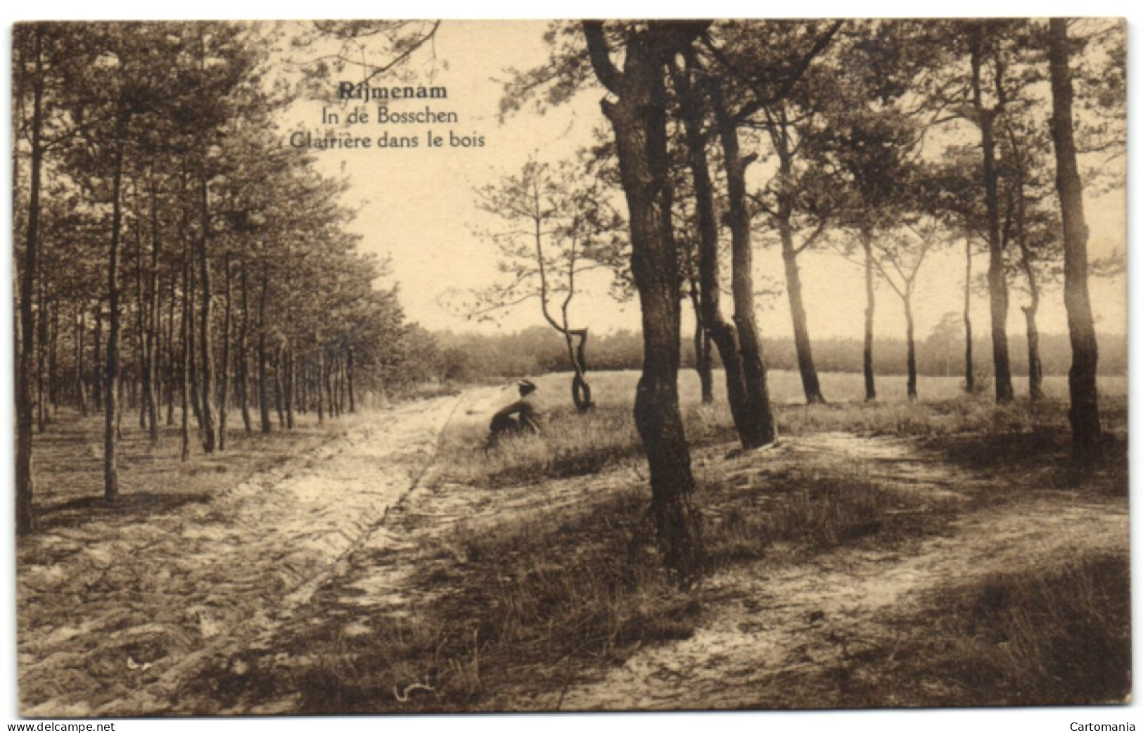 Rijmenam - In De Bosschen - Bonheiden