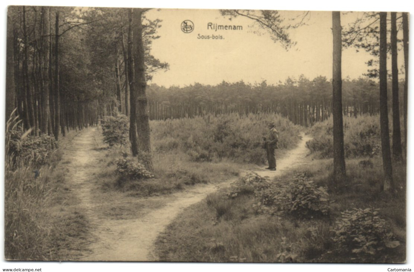 Rijmenam - Sous-bois - Bonheiden