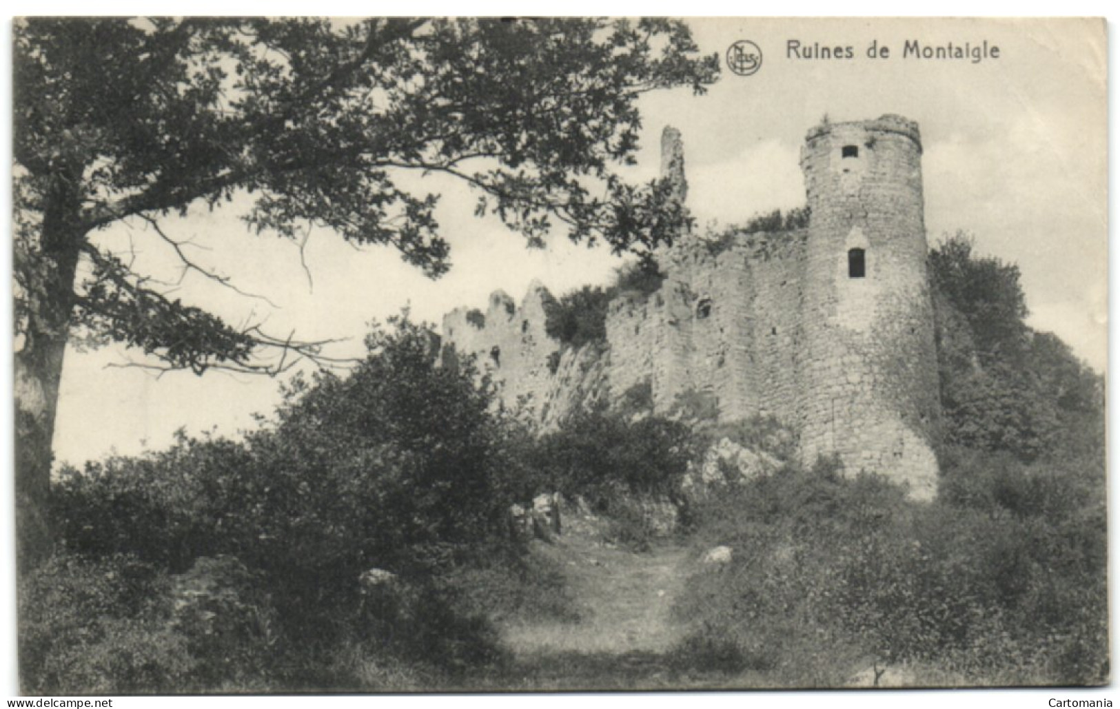 Ruines De Montaigle - Onhaye