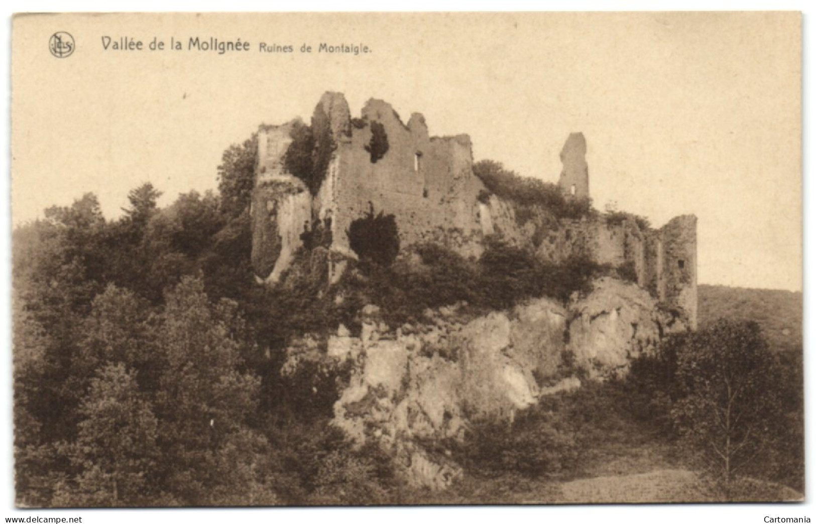 Vallée De La Molignée - Ruines De Montaigle - Onhaye