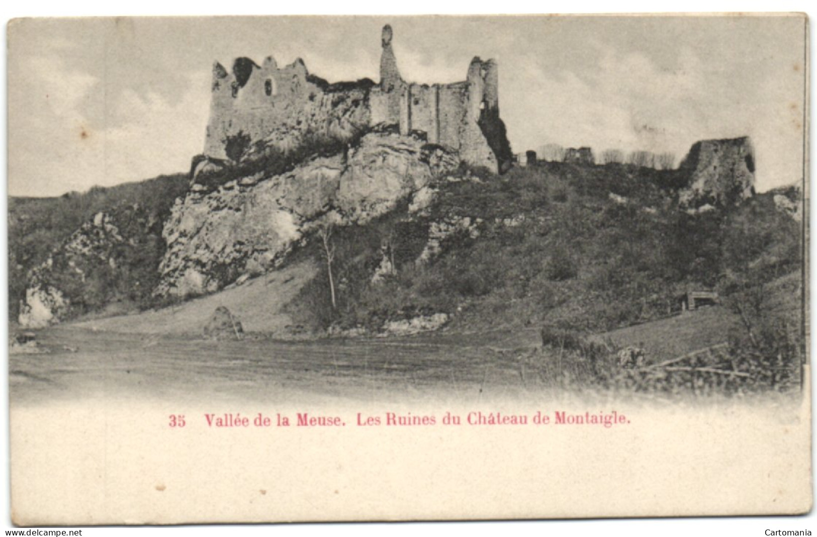 Vallée De La Meuse - Les Ruines Du Château De Montaigle - Onhaye