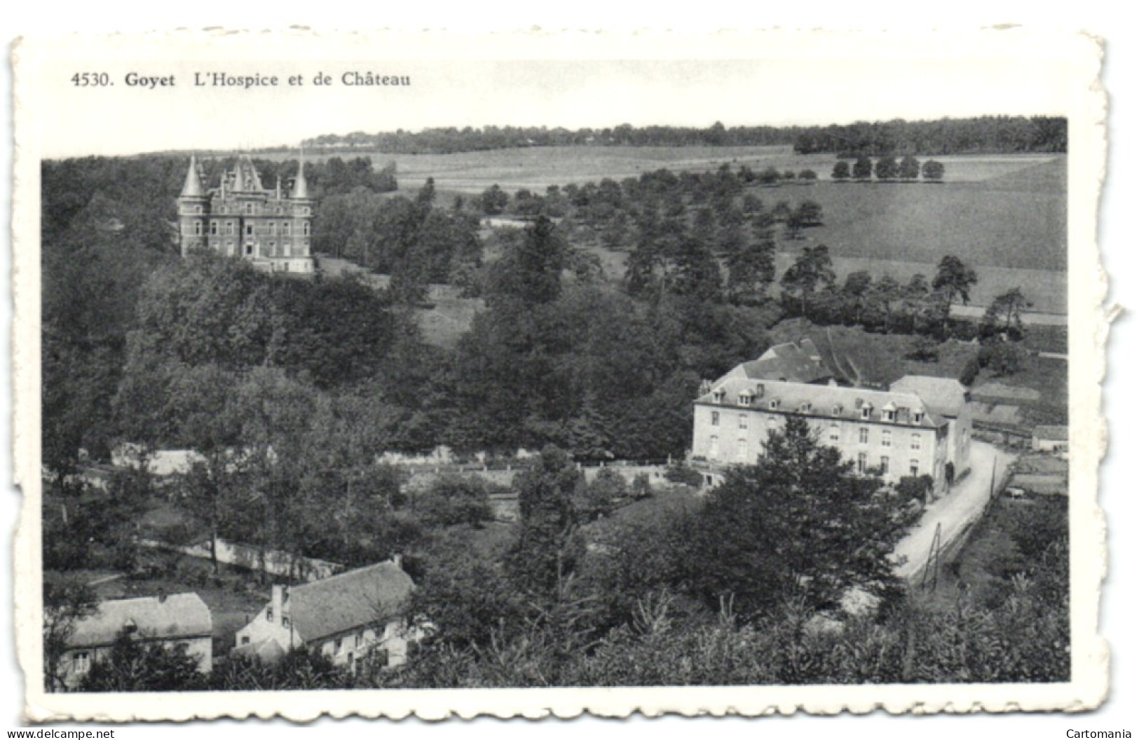 Goyet - L'Hospice Et Le Château - Gesves