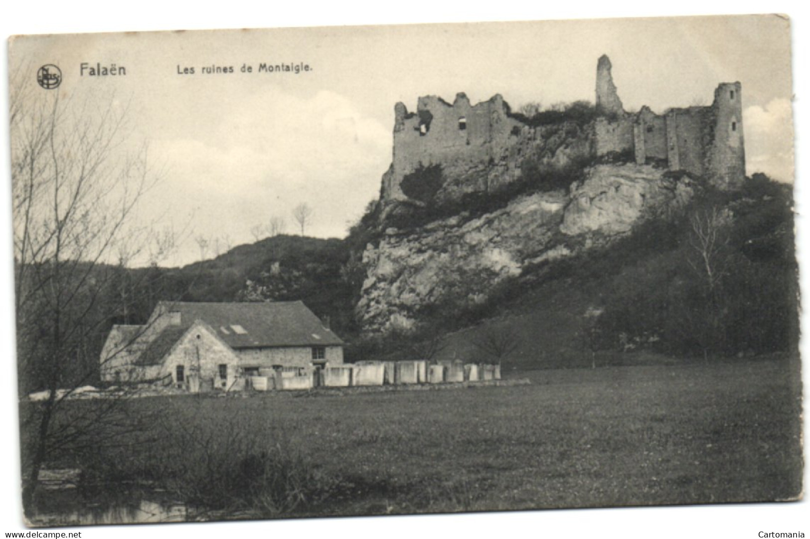 Falaën - Les Ruines De Montaigle - Onhaye