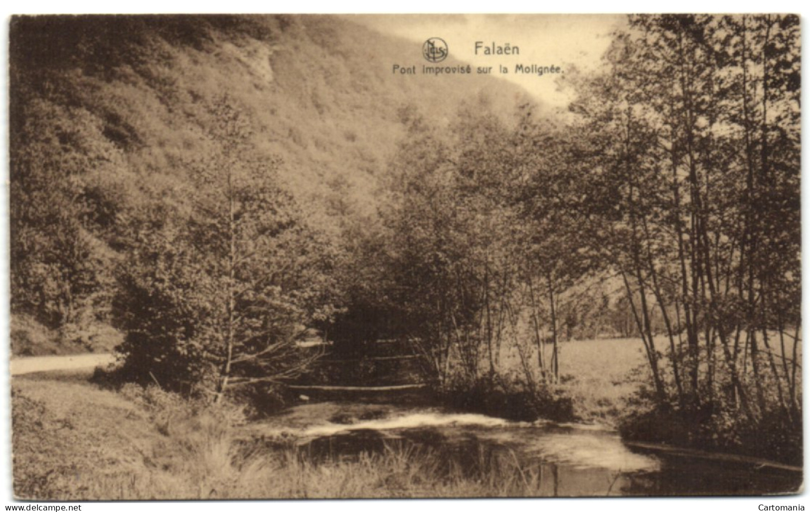 Falaën - Pont Improvisé Sur La Molignée - Onhaye