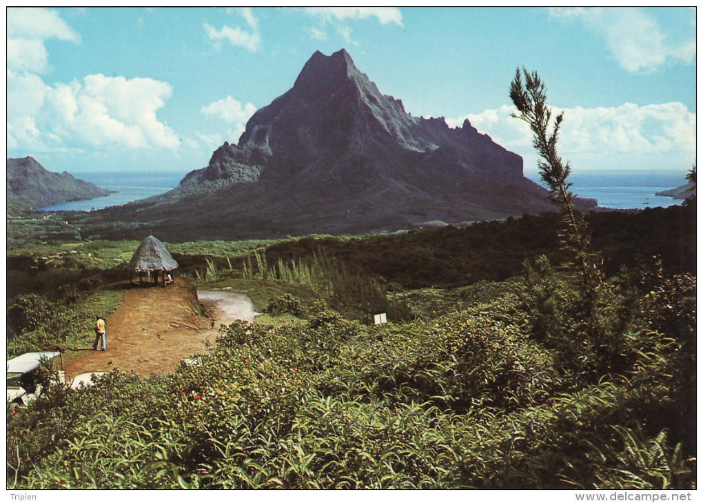 Moorea - La Baie D'Opunohu, à Gauche Le Mont Rotui Et La Baie De Cook à Droite - Polynésie Française