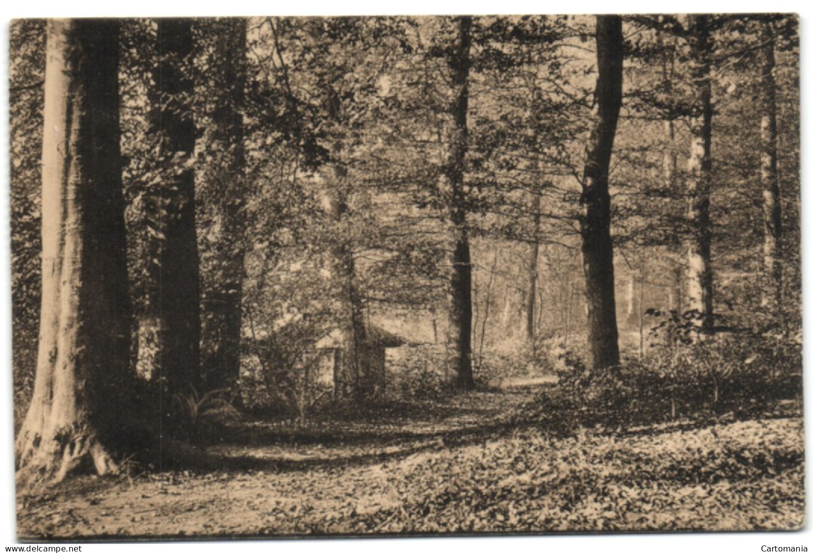 Vallon Des Enfants Noyés - Em. Empain - Ligue Des Amis De La Forêt Se Soignes - Auderghem - Oudergem