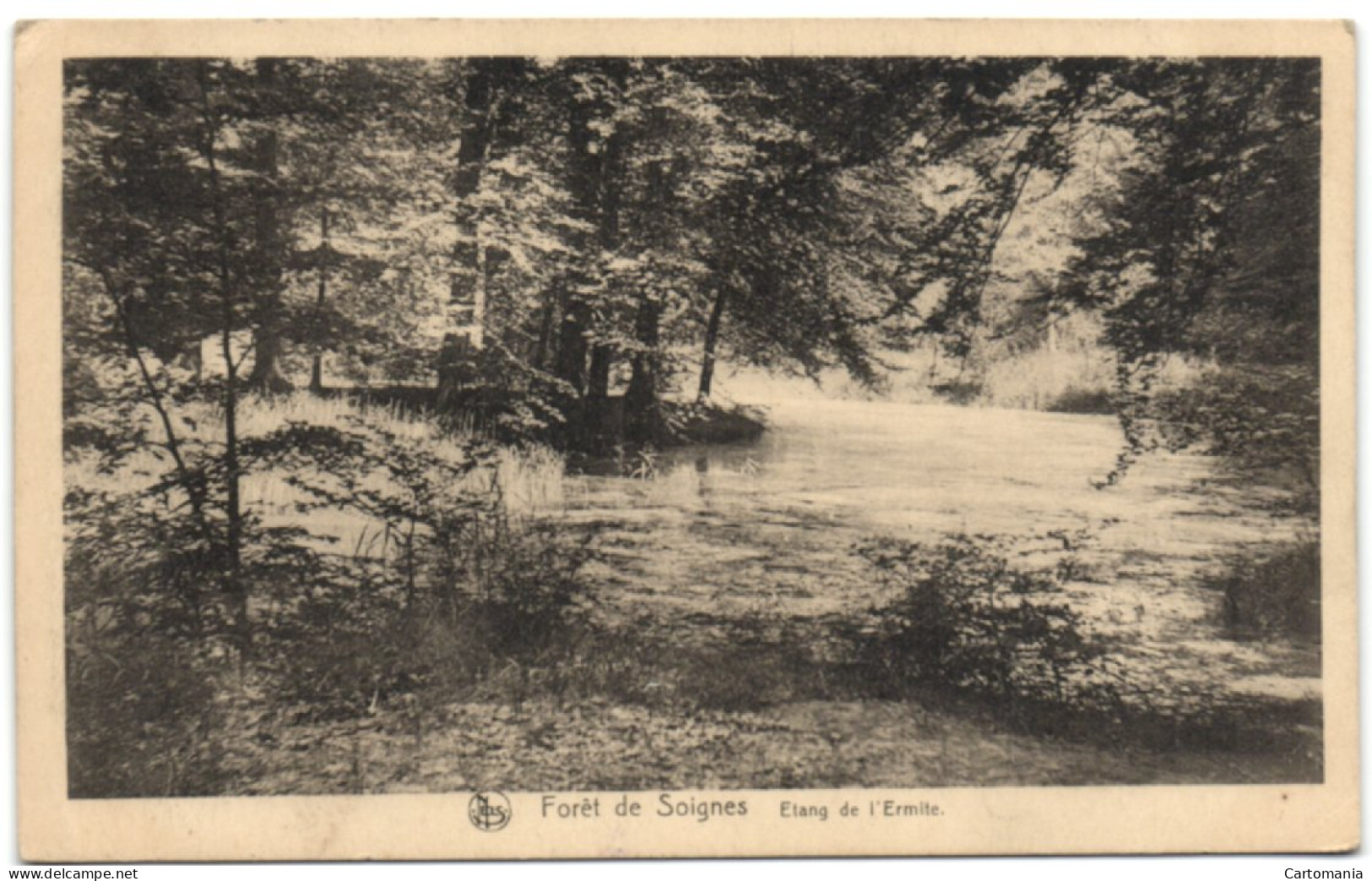 Forêt De Soignes - Etang De L'Ermite - Oudergem - Auderghem