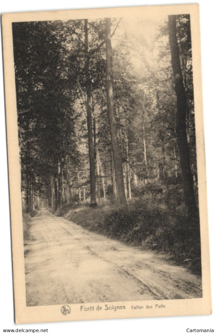 Forêt De Soignes - Vallon Des Puits - Auderghem - Oudergem