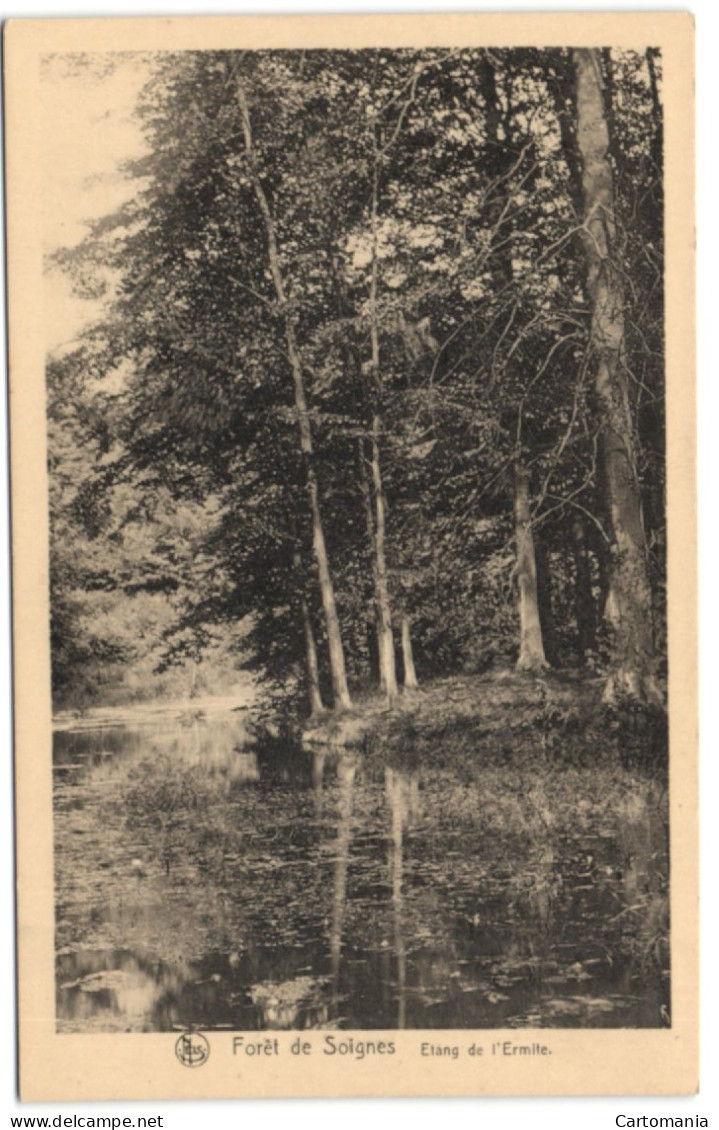 Forêt De Soignes - Etang De L'ermite - Oudergem - Auderghem